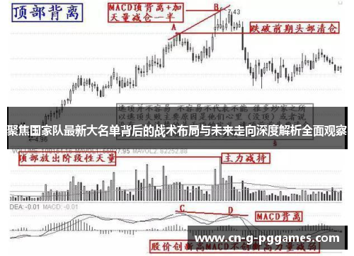 聚焦国家队最新大名单背后的战术布局与未来走向深度解析全面观察