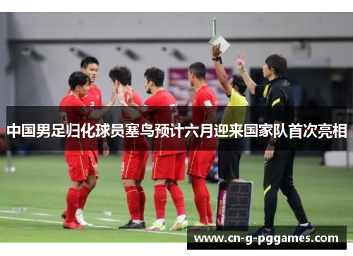 中国男足归化球员塞鸟预计六月迎来国家队首次亮相