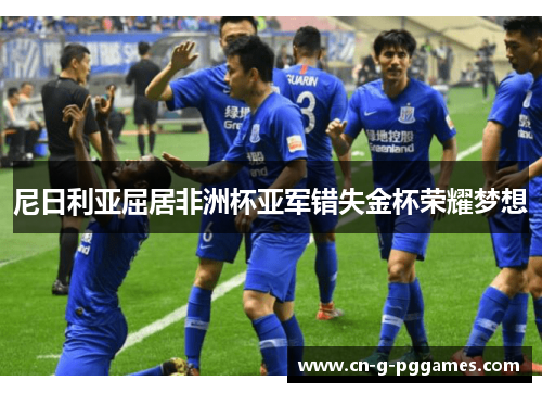 尼日利亚屈居非洲杯亚军错失金杯荣耀梦想